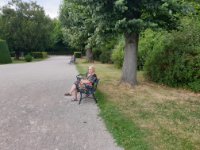 ein Bild aus dem Album